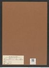 Triceratium leve Cleve (de-Toni-Nr.: Genus 140, Species 3916) Zeichnungen Sammlung Grunow Mappe 03942 (Herbarium_W_Grunow_drawings_Folder_03942)